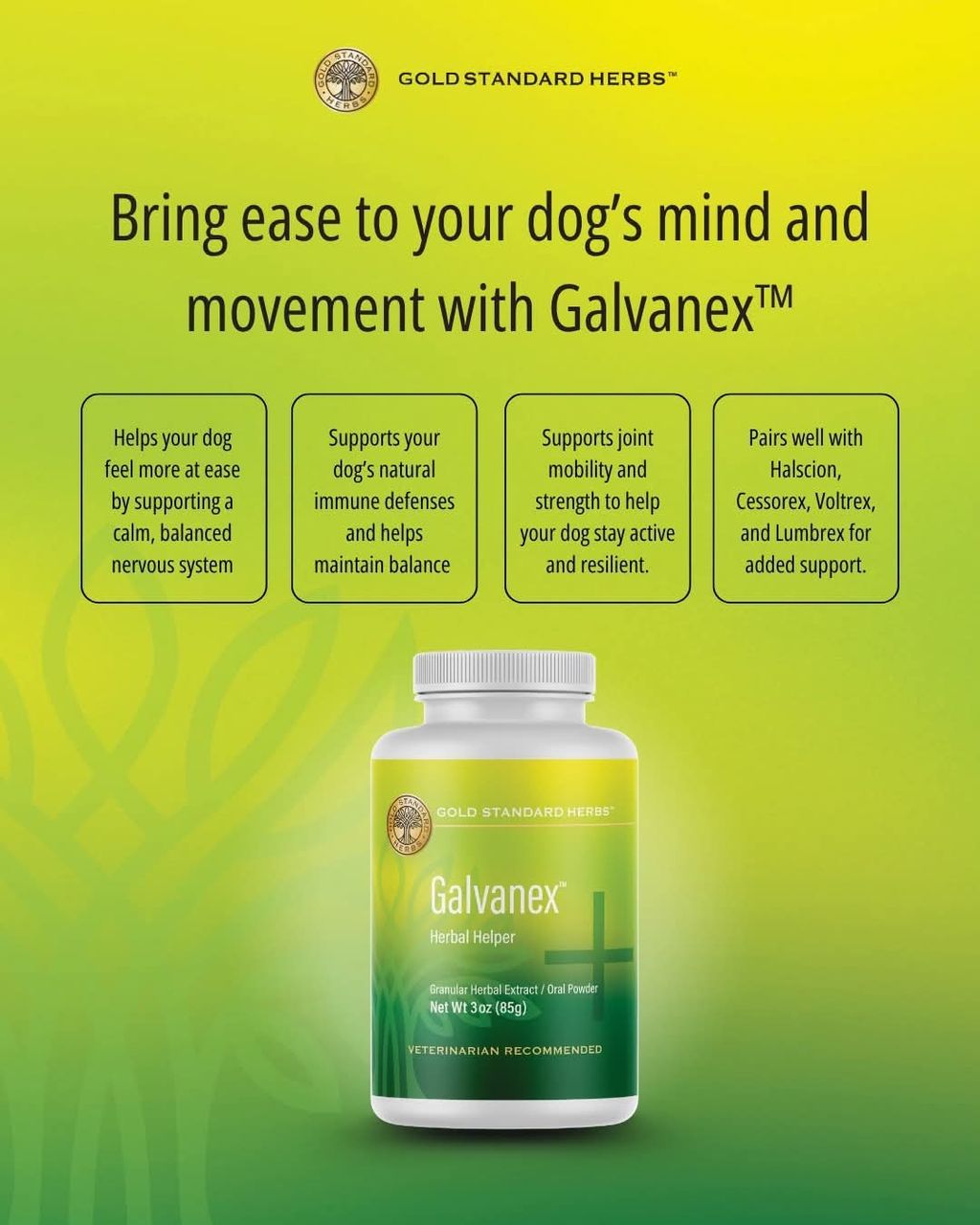 Gold Standard Herbs - Galvanex 04