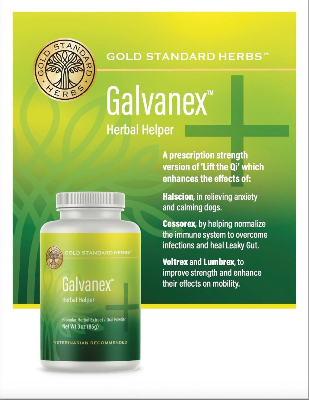 Gold Standard Herbs - Galvanex 02