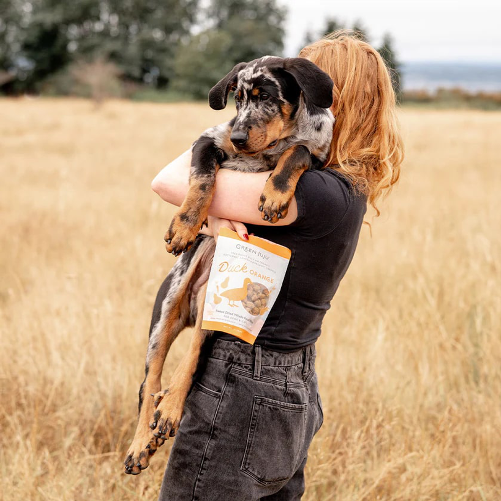 GJJ-Duck-Freeze-Dried-Whole-Food-Bites