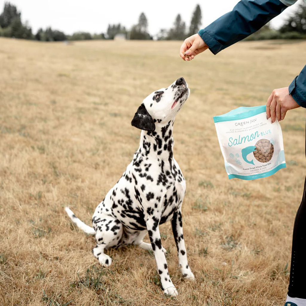 GJJ-Salmon-Freeze-Dried-Whole-Food-Bites