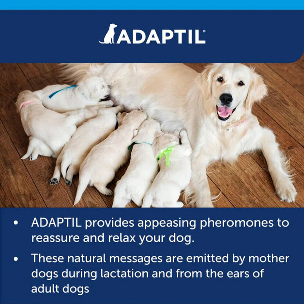 AdaptilDIffuserCarousel_7
