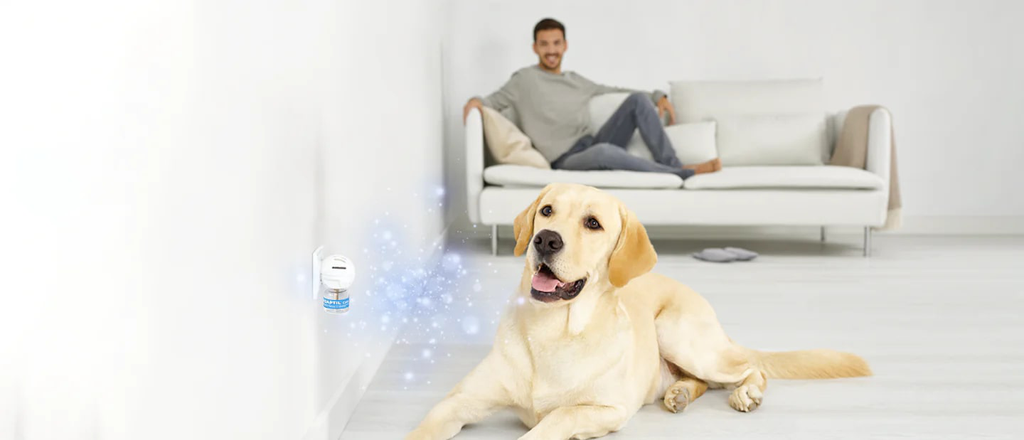 Brand_Universe_Cover_-_ADAPTIL_Calm_-_Desktop_ecf30e66-3b33-429d-b2c5-5d9c1611f23f