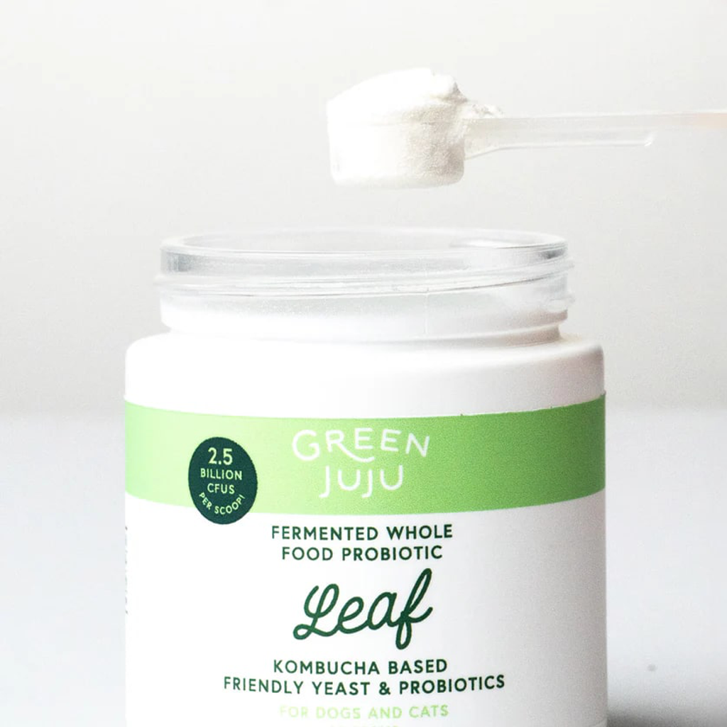 GreenJuju - Leaf 02