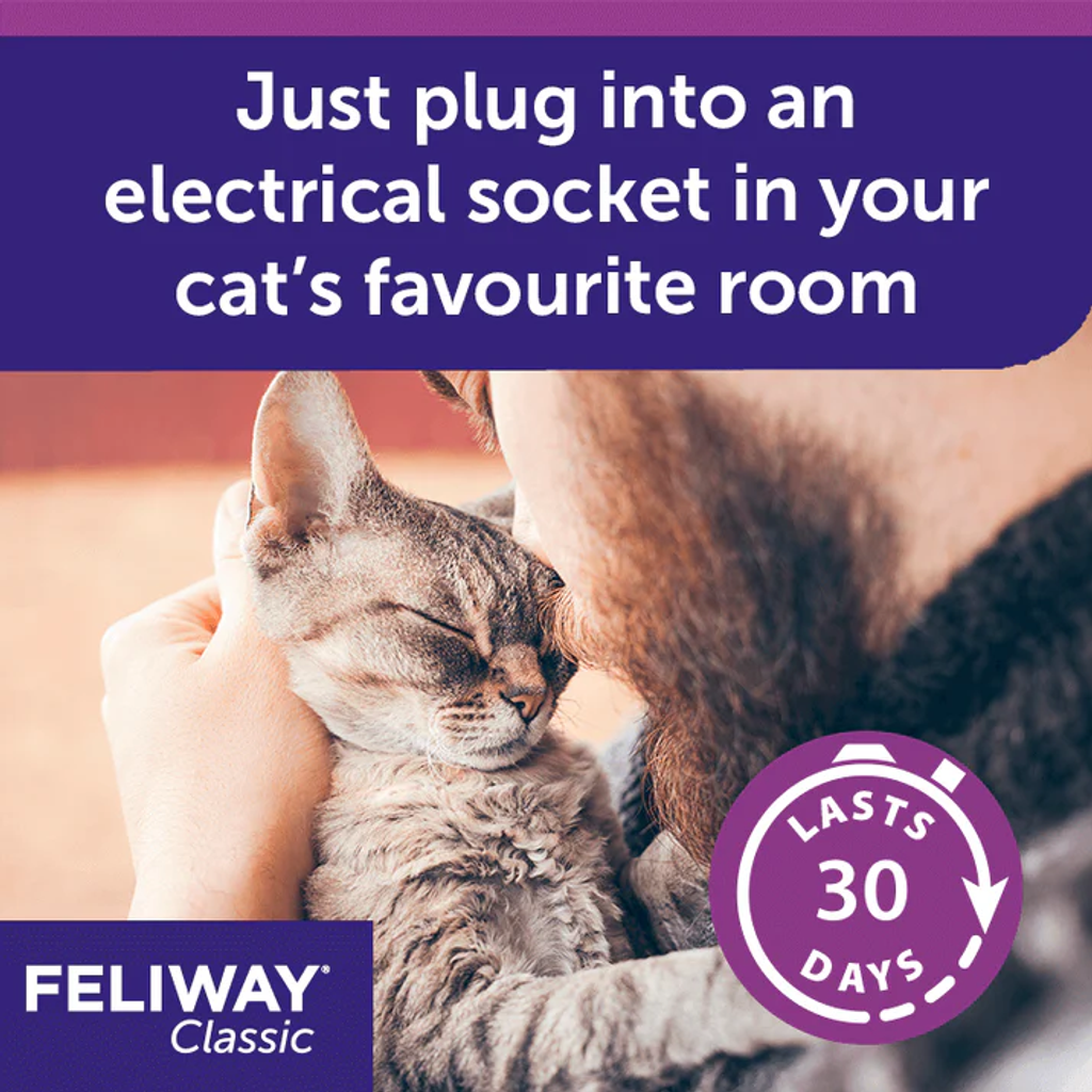 Feliway Classic Diffuser 04