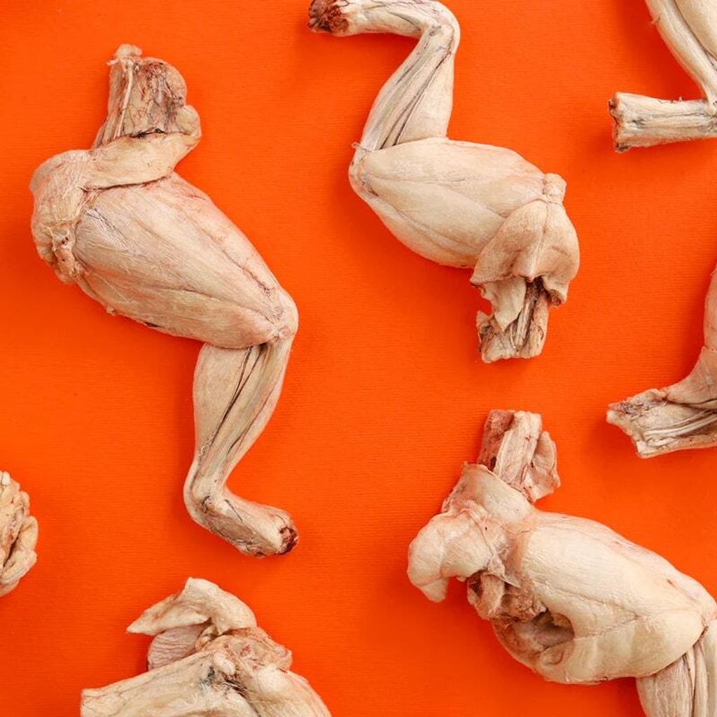 prod-new-frog-leg