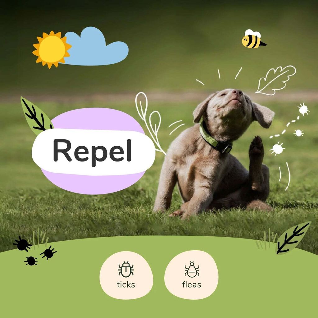 FleaTick Lavender Spray 02