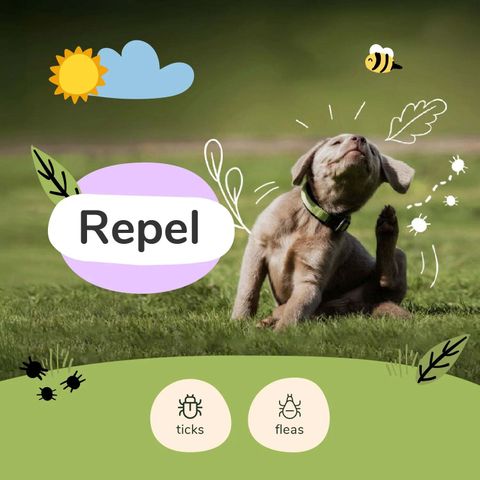 FleaTick Lavender Spray 02