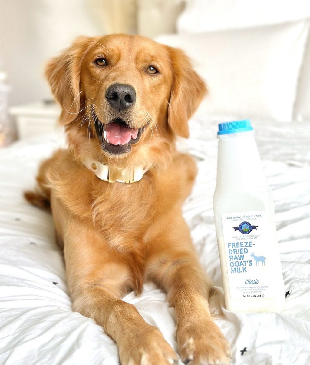 422061901_770073758354455_2879889729059640980_n