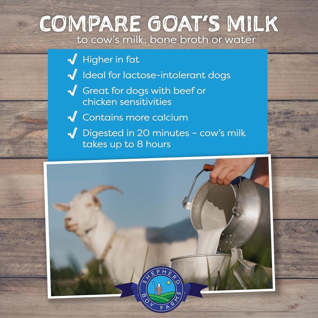 91s75jmrECL._AC_SL1500_