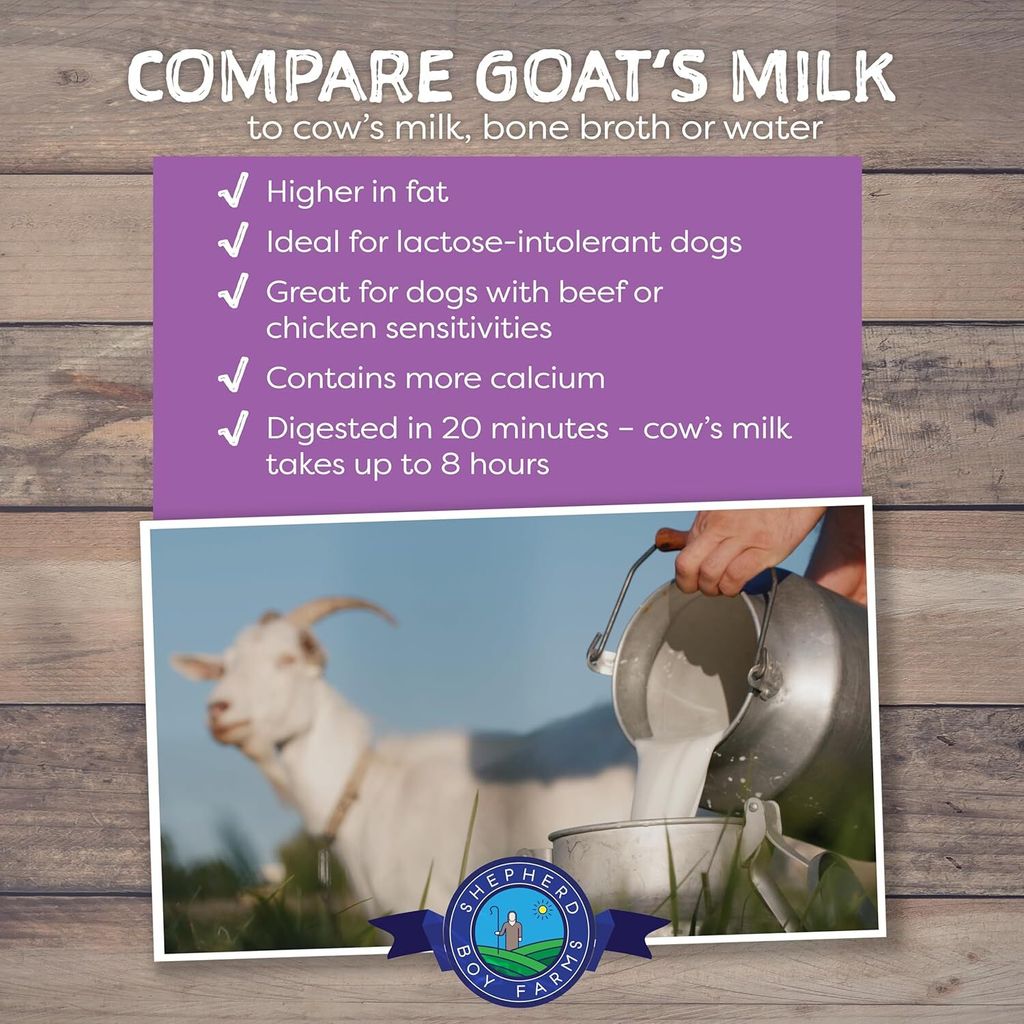 81F9OwOlsyL._AC_SL1500_