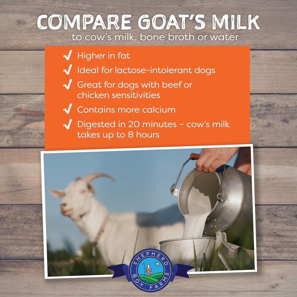 91T16YaQO6L._AC_SL1500_