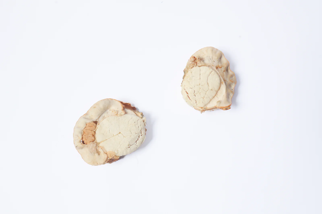 Taki Scallops Bulk 07