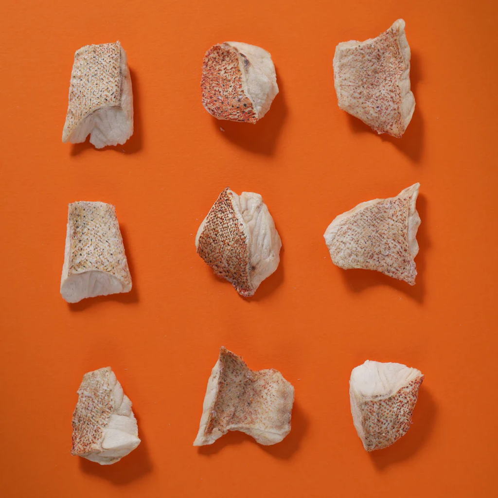 Taki Red Grouper Single 01