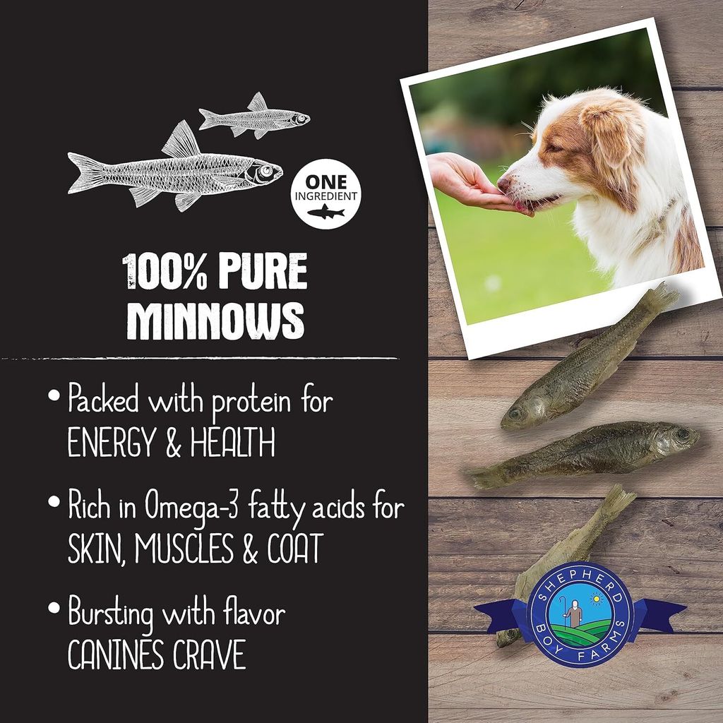 91IH3Jlal-L._AC_SL1500_