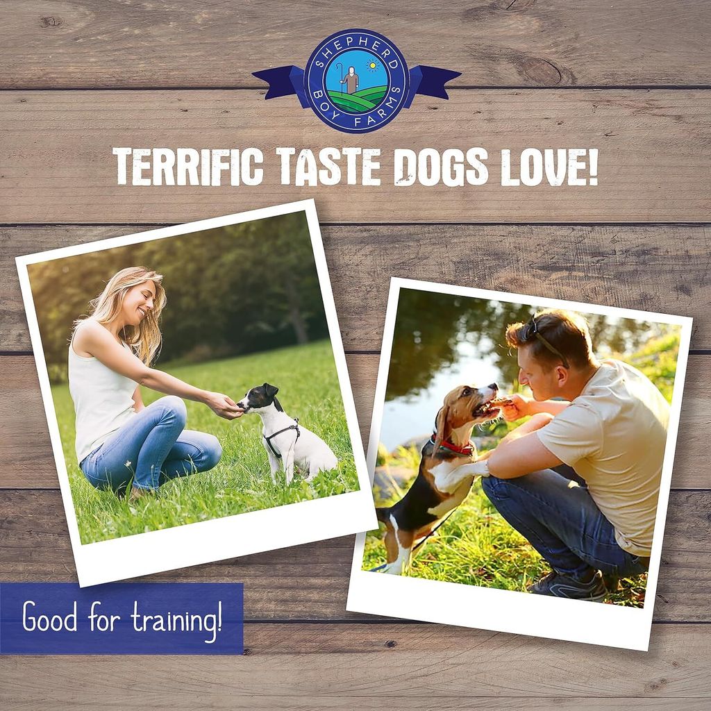 916+OYek0rL._AC_SL1500_