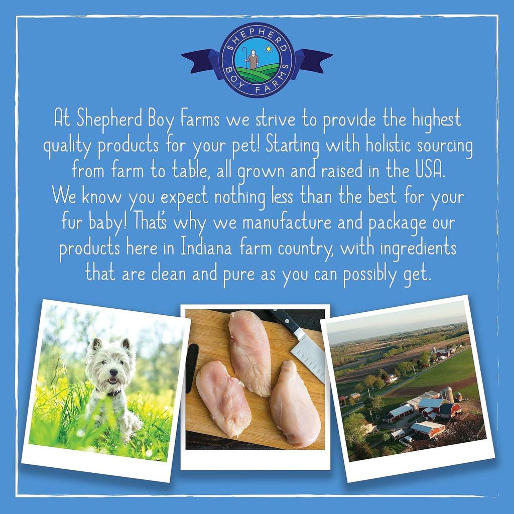 91s8HK3SoTL._AC_SL1500_