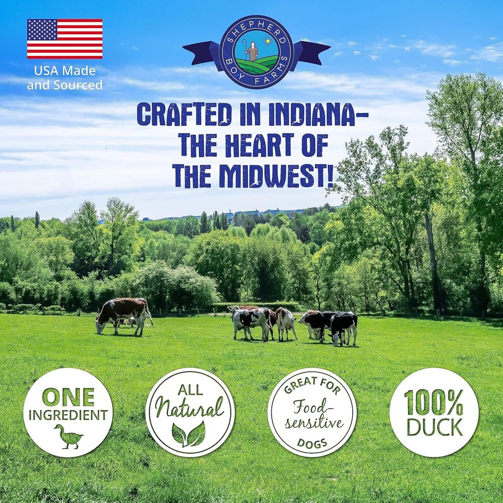 B1JhH+EmzFL._AC_SL1500_