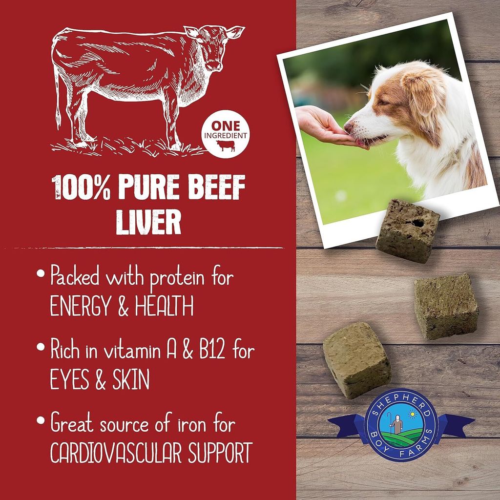 91wjgpHFqjL._AC_SL1500_