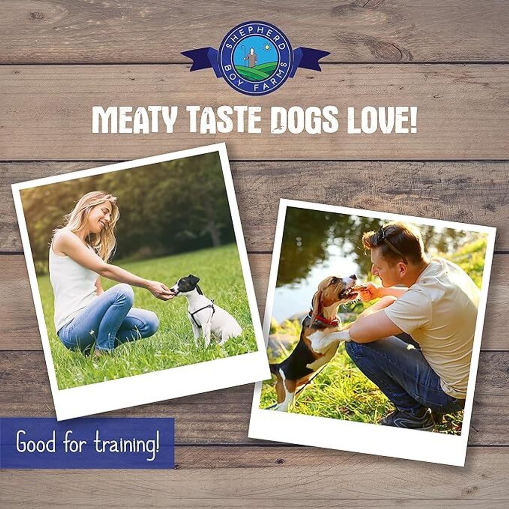 91oboOszAZL._AC_SX679_