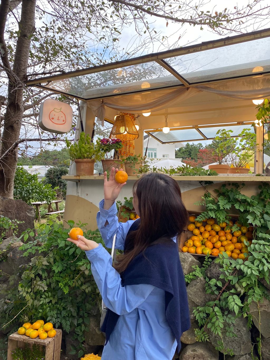 IMG_5969-1698578661434