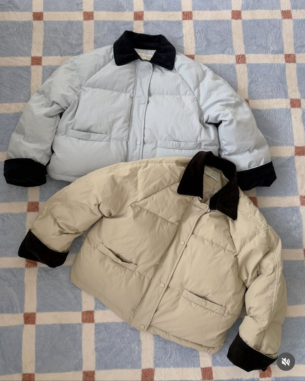 IMG_6674-1740744932432