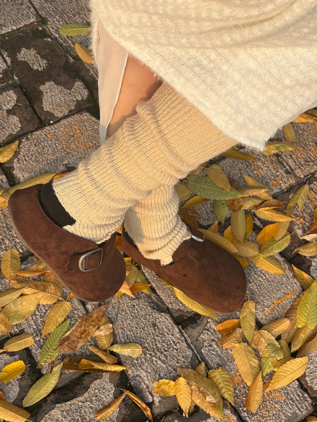 image_E69EA718-F59D-4F57-9272-69CECFE42AFA_1764092484