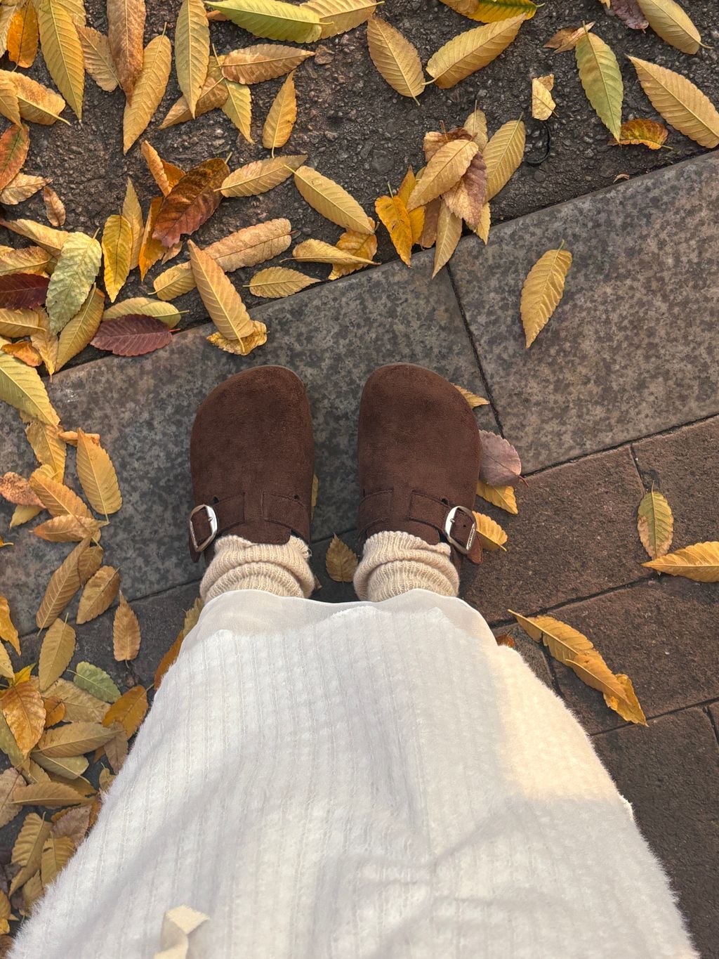 image_0DFC4B31-C6BF-4C04-A245-A8FA4206D637_1764092484