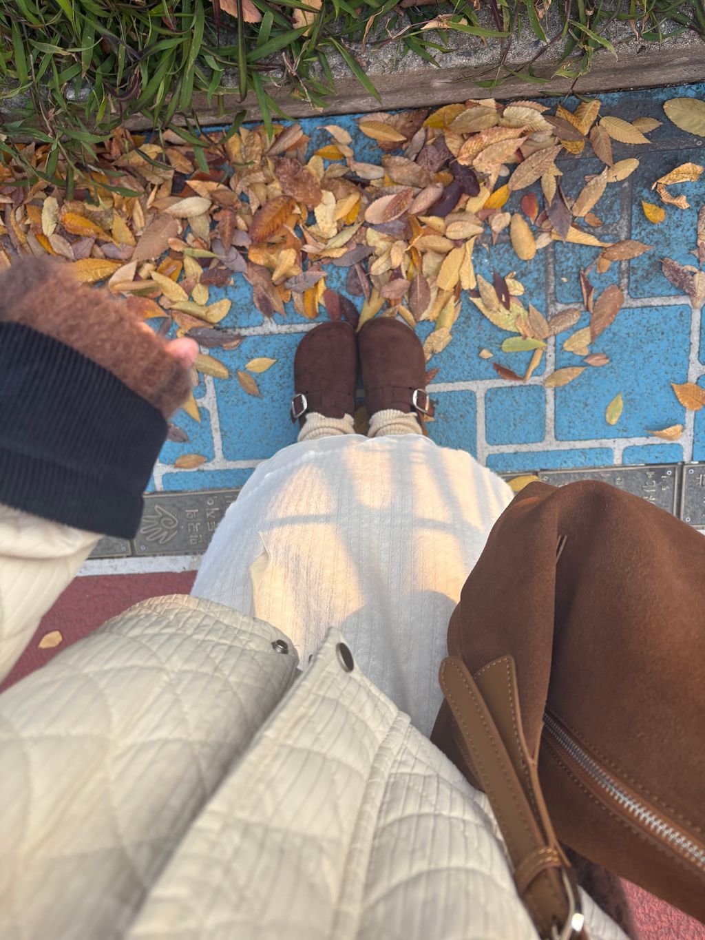 image_1881C0C4-EA80-4243-A72F-DD0CDF4D56E7_1765360373