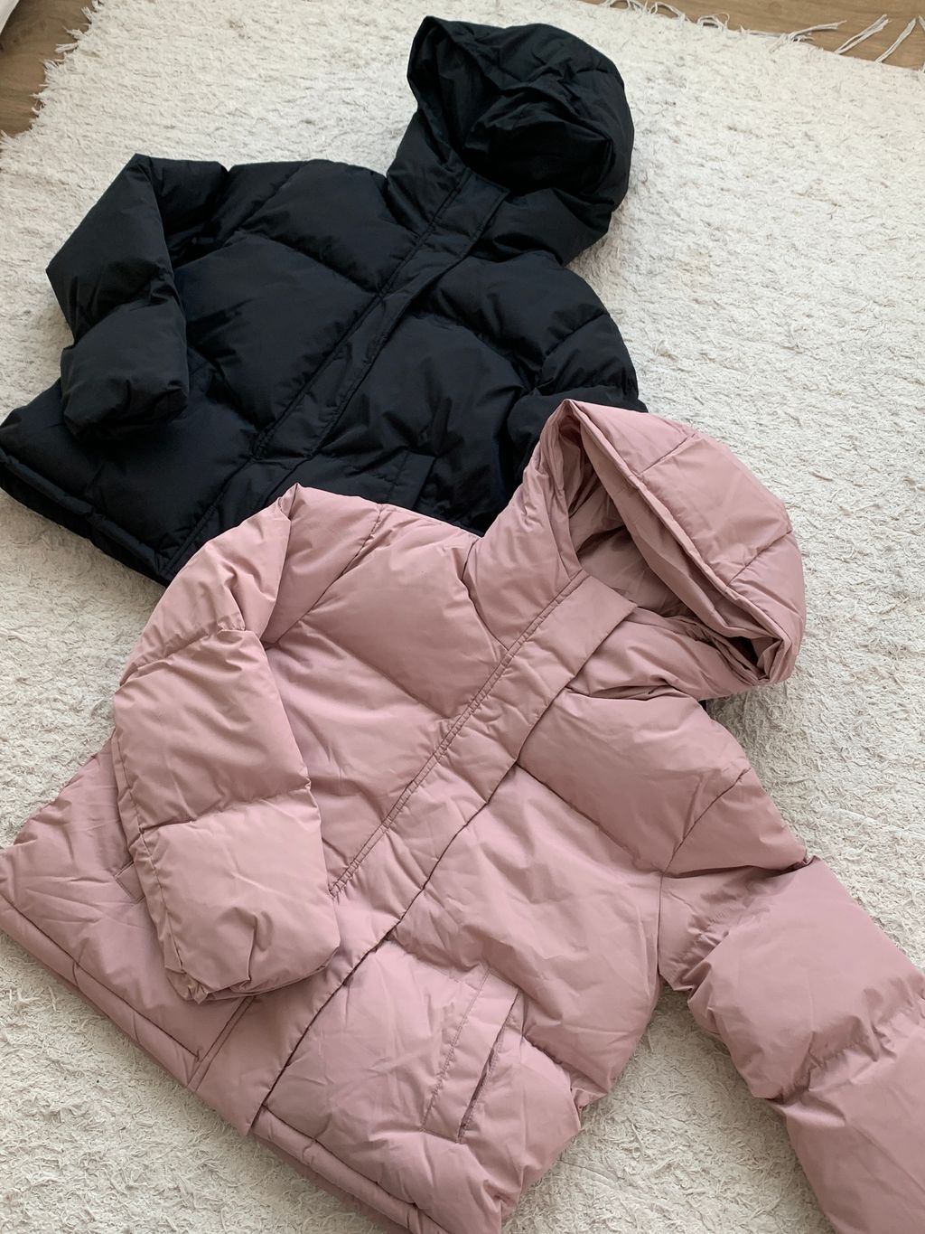 image_0C078DA4-75F4-47B0-B4B6-260E50A72A3A_1767862528