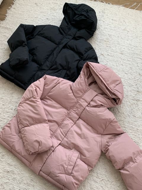 image_0C078DA4-75F4-47B0-B4B6-260E50A72A3A_1767862528