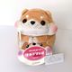 Shiba Inu