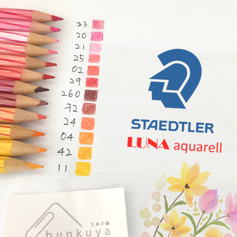 STAEDTLER Penna Calibrata 0,1 - STA7011 — Mornati Paglia