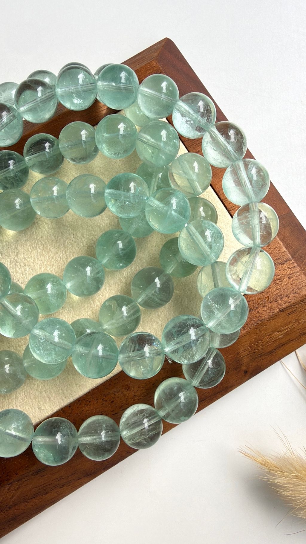 image_97952E3F-FDFC-4FD0-8EB4-8E3B83F87732_1776149635