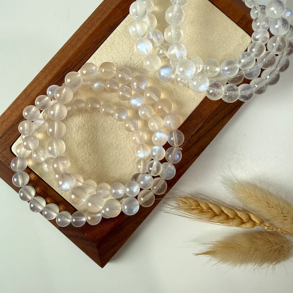 image_2D0A44E4-EC63-4446-A28B-CD5953C8B49D_1765329987