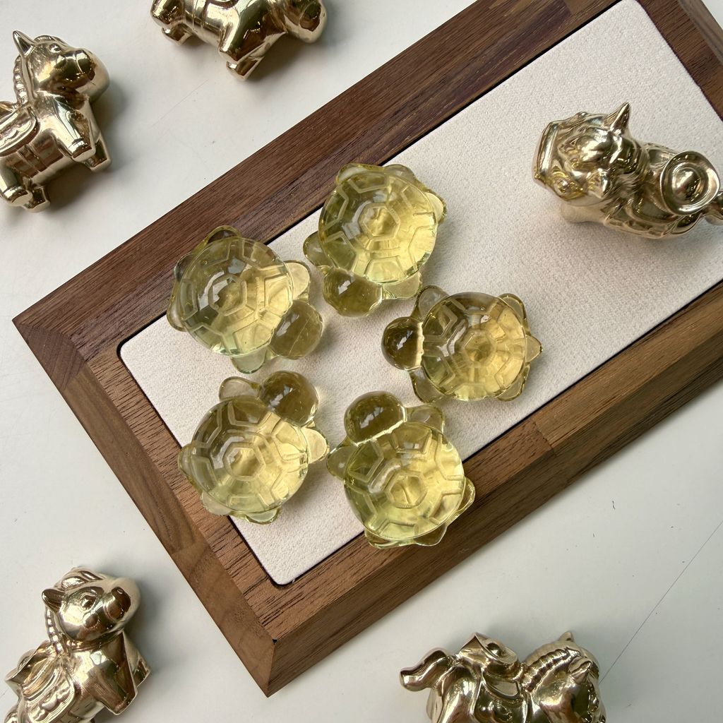 image_A2BB5921-6BCF-416C-BA17-2F6B7A418BFD_1768448399