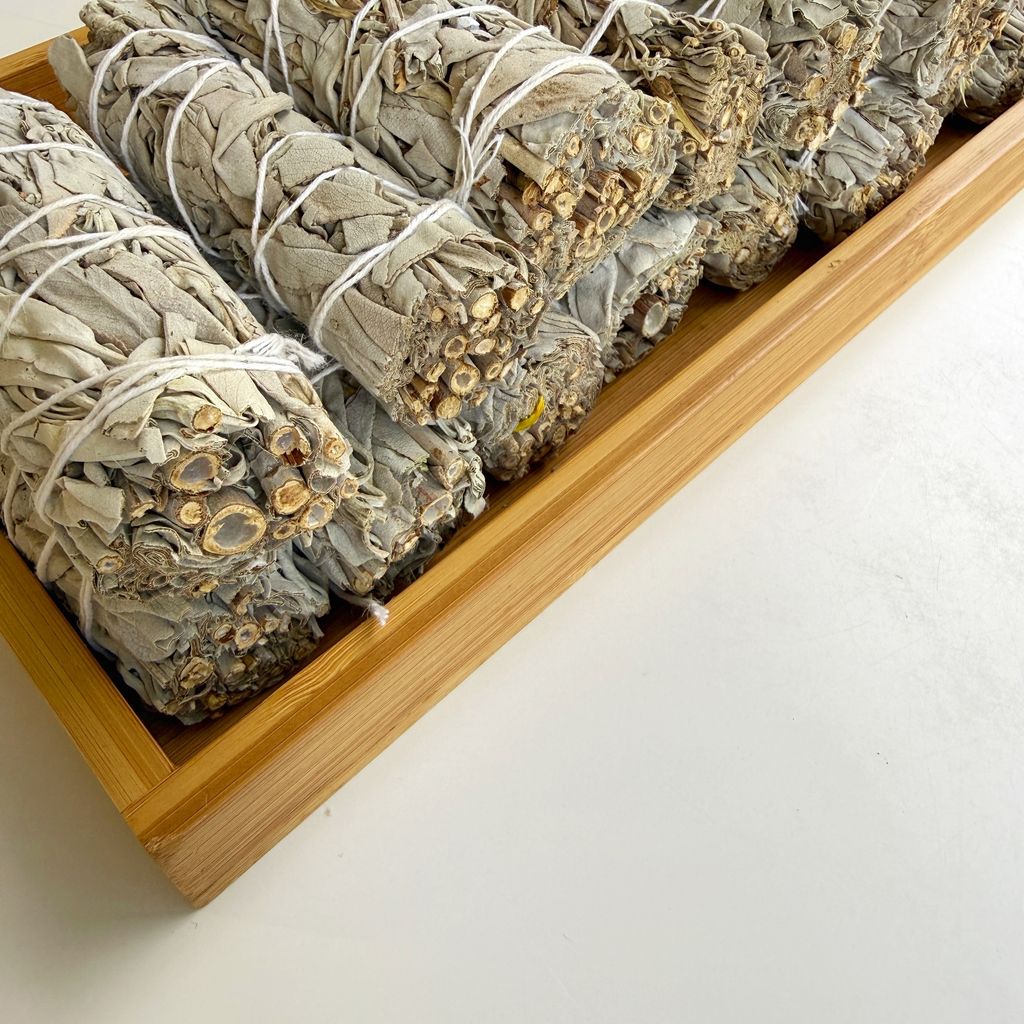 image_83BB58B3-D312-4C6A-9DAD-BECF8FA92E00_1770968275