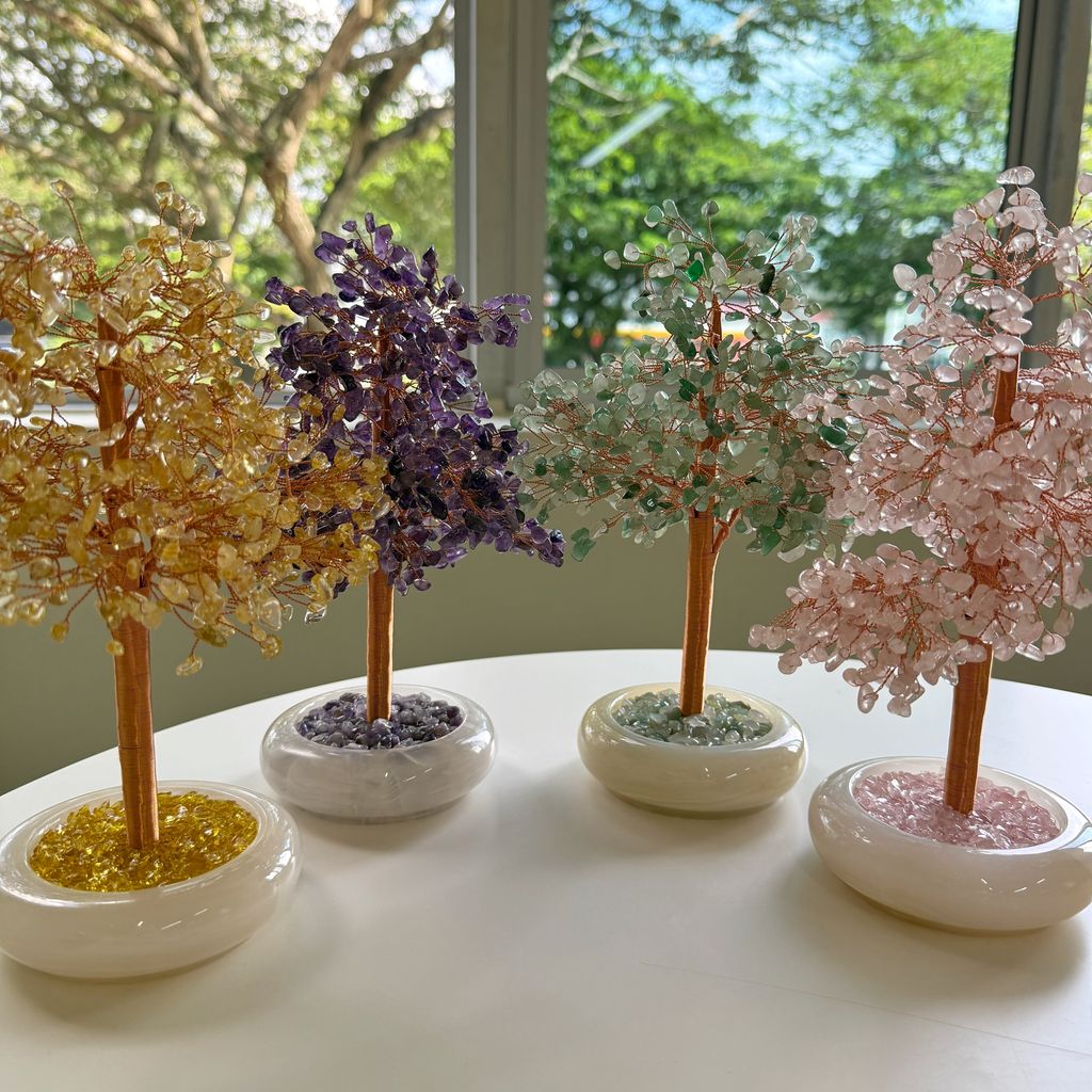 image_3D31227C-651B-44FF-B6FD-E7B042DC03EA_1772003758