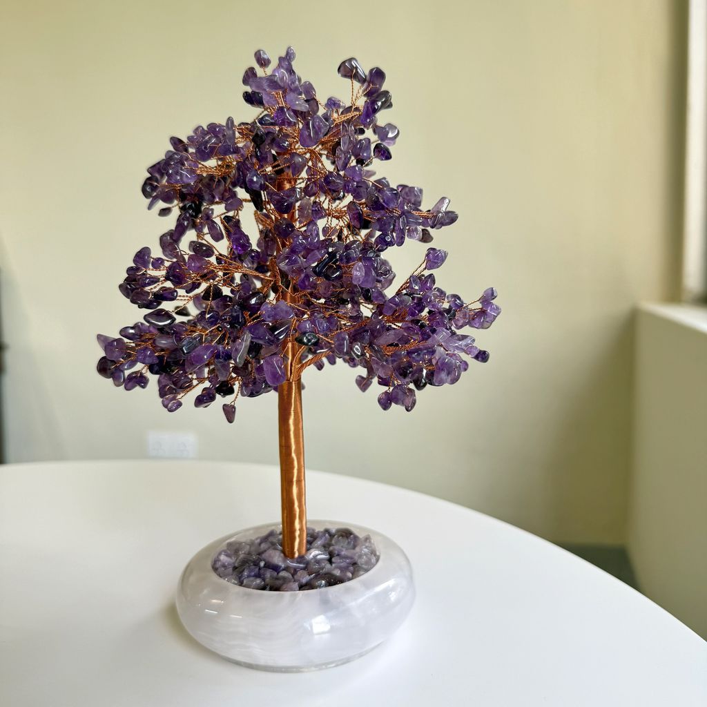 image_E185FFB9-3A05-47C6-823F-DD1D013CEBC5_1772003758