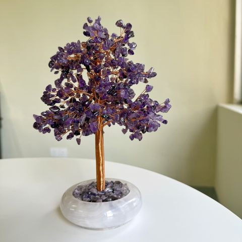 image_E185FFB9-3A05-47C6-823F-DD1D013CEBC5_1772003758