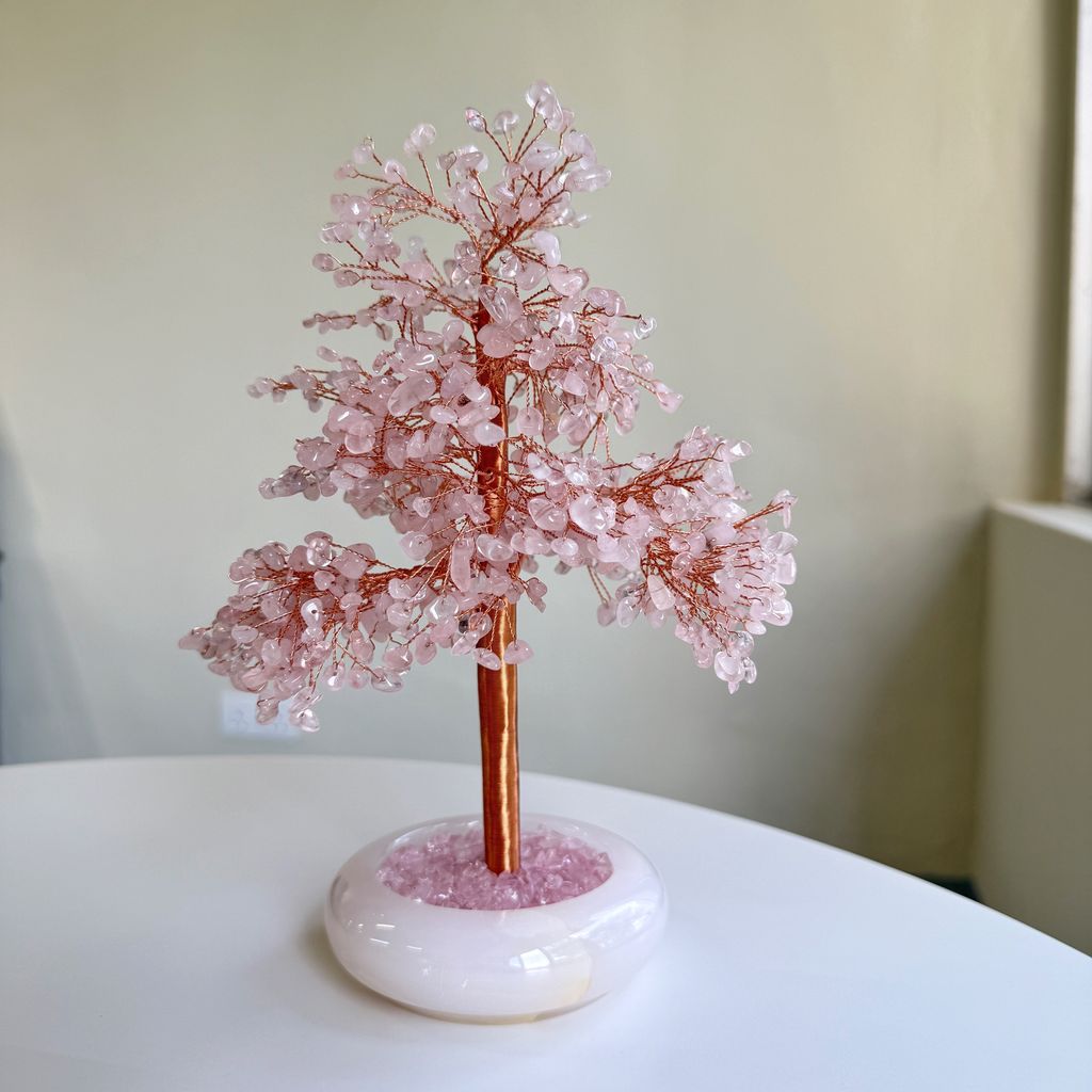 image_73606322-BFAB-4953-8C33-C202B6BAB547_1772003758