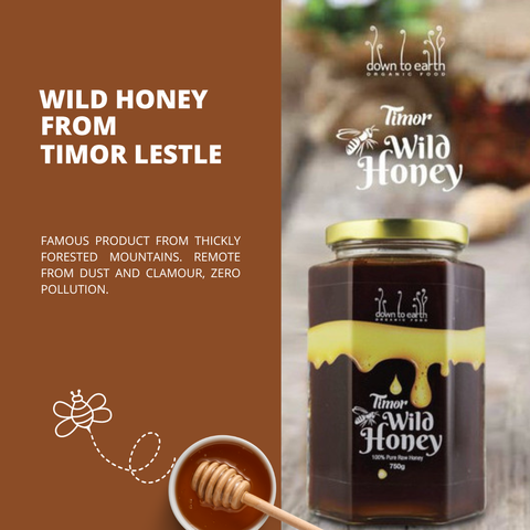 DTE Timor Honey 01