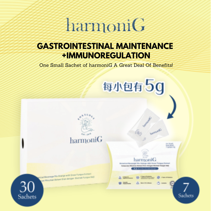 harmoniG-Main 05c