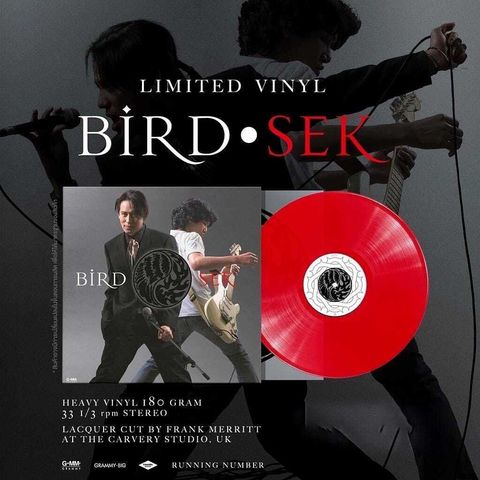 Birdsek LP