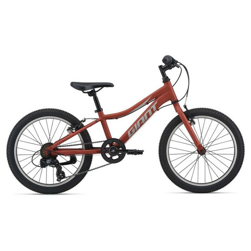 Giant childrens bikes 2025