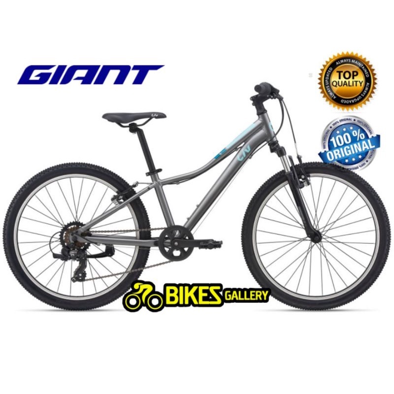 Giant enchant 2 clearance 24