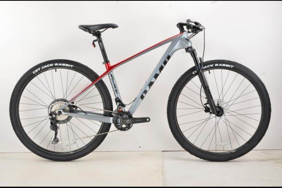 Camp pro lite 9.1 2x11speeds 29er Carbon Mountain Bike Bikes Gallery Giant Bicycle Ipoh