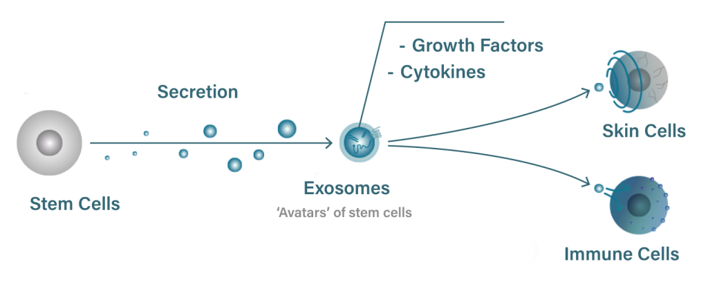 Exosomes-dr diana