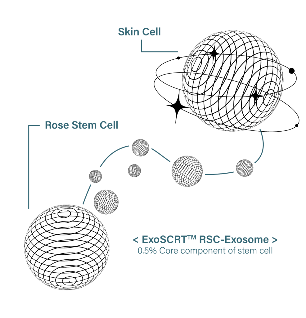 exosome klinik  dr diana