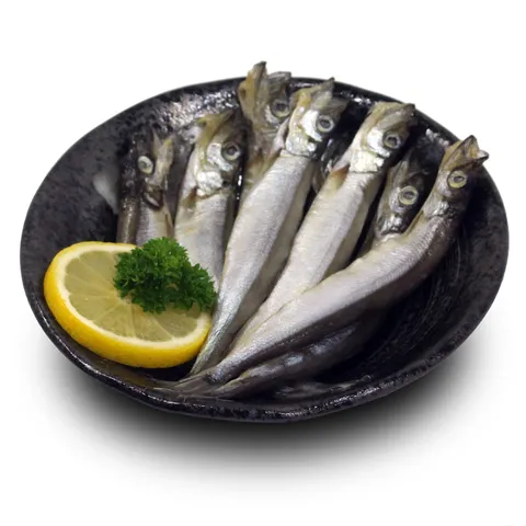 shishamo_ce85f5b3-fdee-4eda-b68f-4badcf85319e_1024x1024@2x.jpg