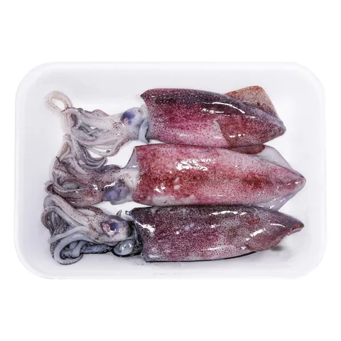 Fresh-Squid-Whole-1020-500g-Approx-weight-78808-02.jpg